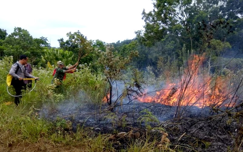 Tiga Hektar Savana di Kawasan Gunung Rinjani Terbakar