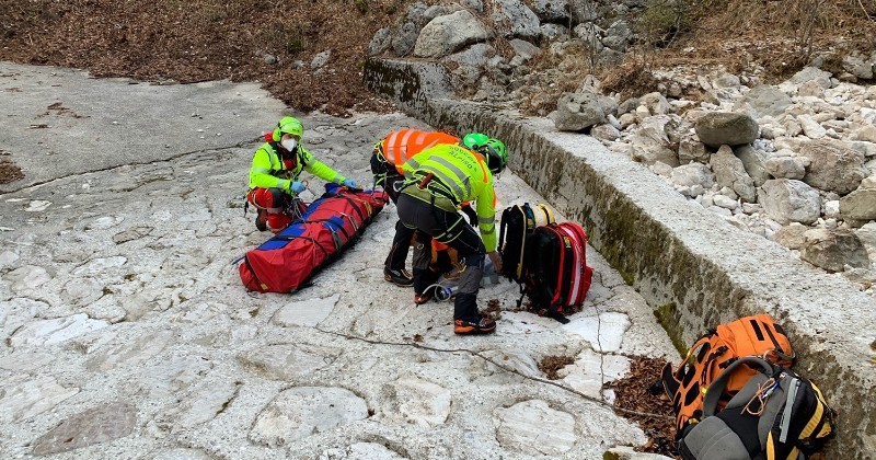Seekor Anjing Membantu Pendaki yang Terdampar di Pegunungan Alpen