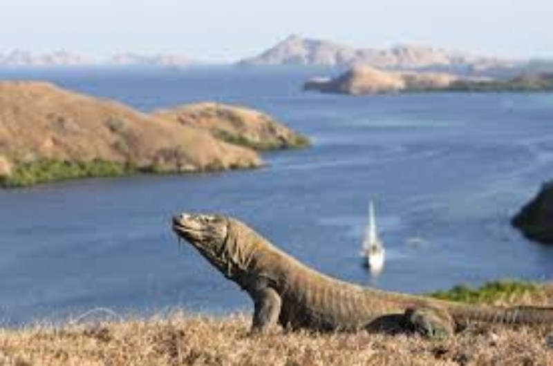 Kaya Sumber Daya Alam, Indonesia Dinobatkan Jadi Negara Terindah di Dunia