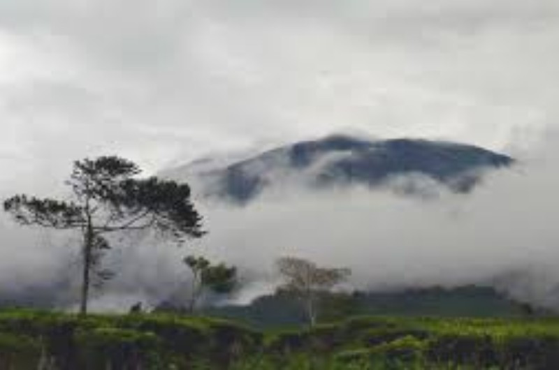Deretan Bukti Mistis Pendaki Meninggal di Gunung Gede Pangrango