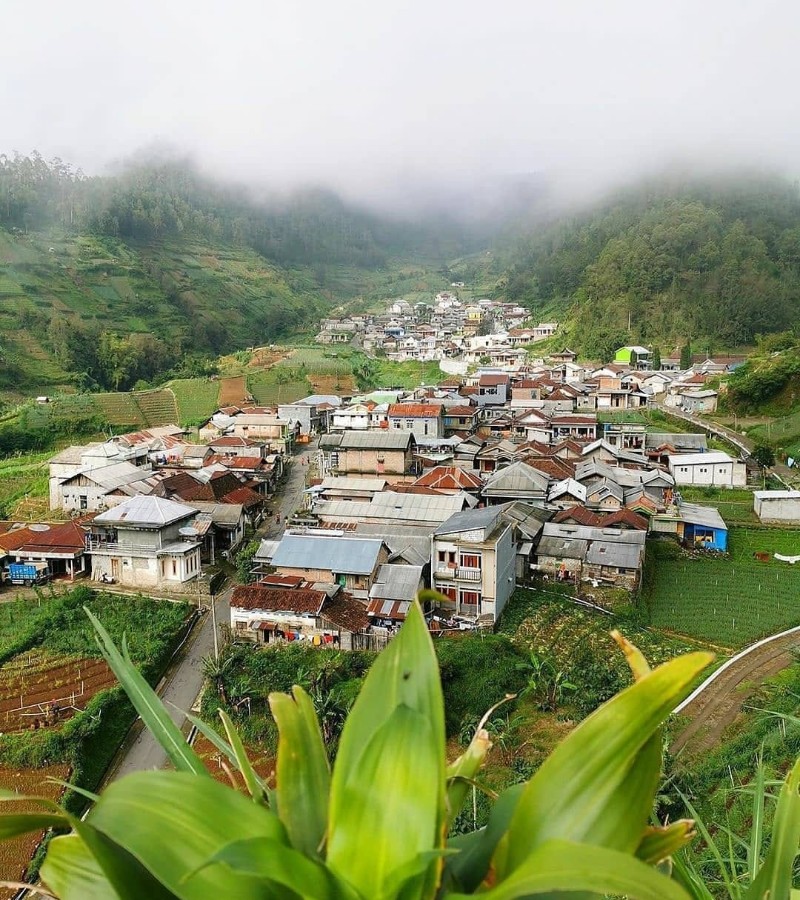 Dusun Wonomulyo; New Zealand-nya Indonesia di Lereng Gunung Lawu