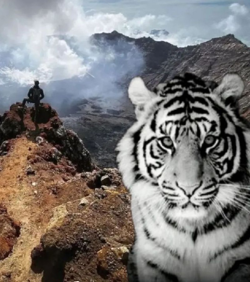 Gunung Raung: Legenda Kerajaan Macan Putih Sampai Suara Misteri Malam Jumat