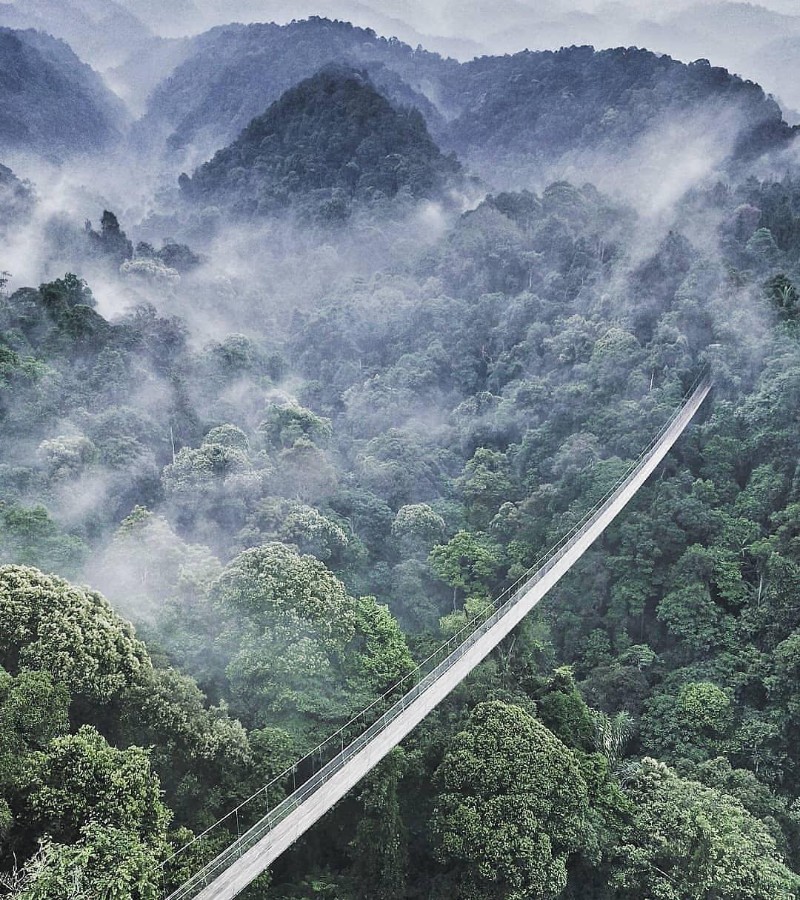 Jembatan Situ Gunung: Wisata Unik dan Viral yang Terpanjang di Asia