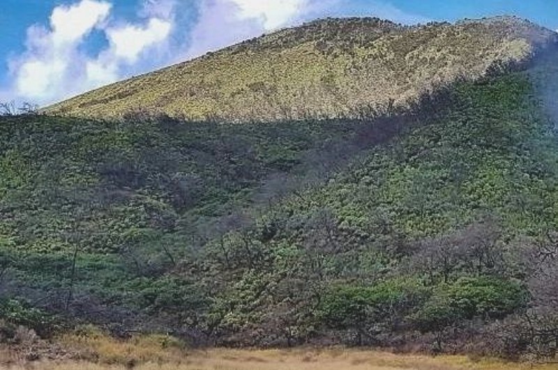 Jalur Baru Gunung Ciremai: Tidak Perlu Bawa Tenda dan Logistik