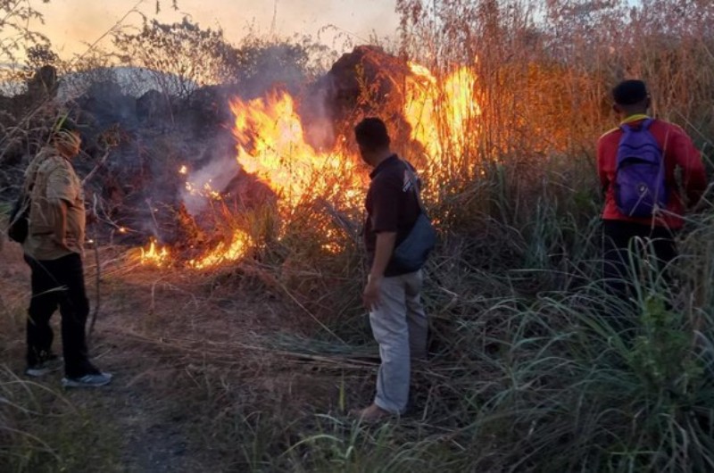 Kebakaran Hutan dan Lahan Terjadi di TNGC