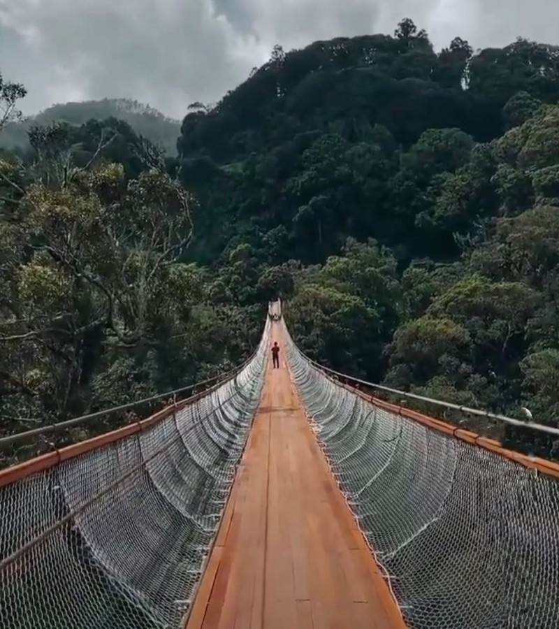 5 Jembatan Unik yang Tersebar di Wilayah Indonesia