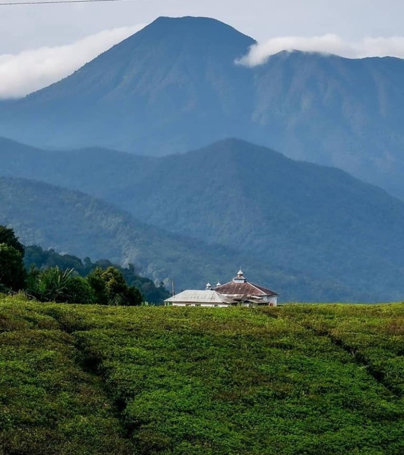 Gunung Kencana Bogor: Pastikan Segalanya Fit pas Mampir ke Sini