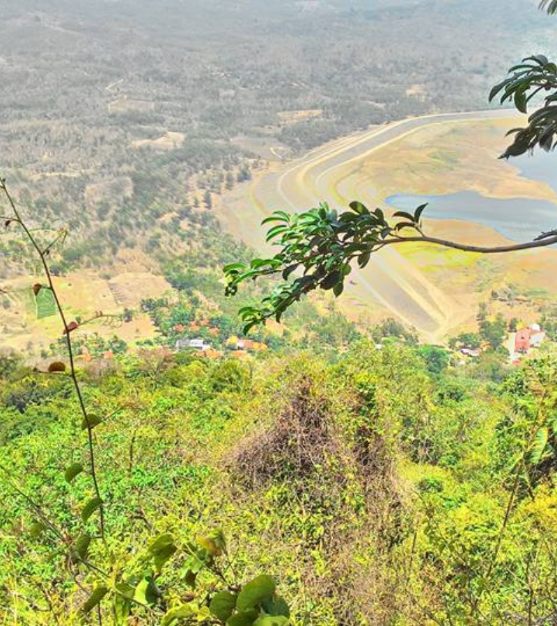 Rekomendasi Gunung di Wilayah Pangandaran yang Cocok buat Healing