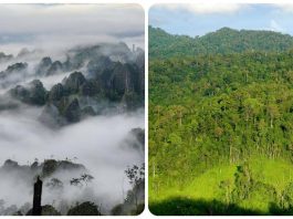 Kalimantan Timur Memiliki 5 Gunung dengan Akses Pendakian yang Sulit