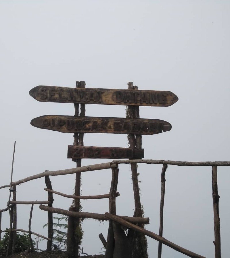 Taat Puji Meninggal karena Serangan Jantung Saat Mendaki di Gunung Sagara