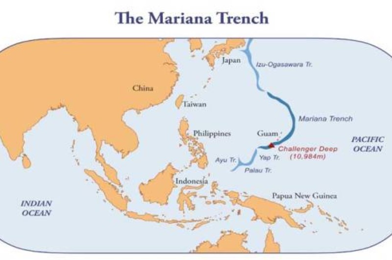 Palung Mariana: Kedalamannya Melebihi Tinggi dari Gunung Everest