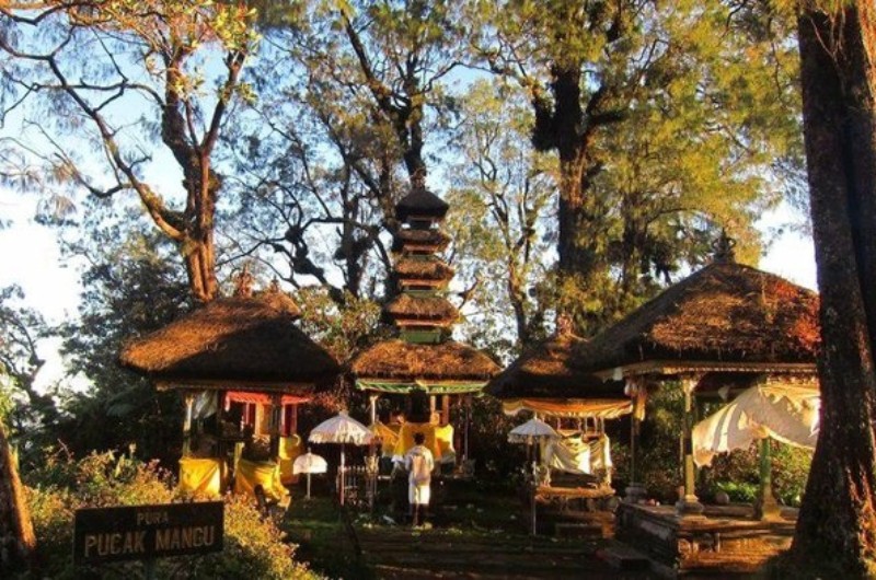 Pucak Mangu: Fakta Unik Gunung Catur yang Ada di Badung Bali